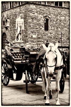 piazza signoria