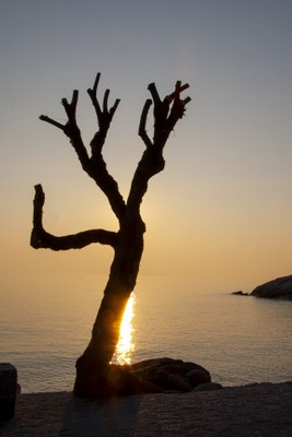 mar mediterraneo progetto formalux