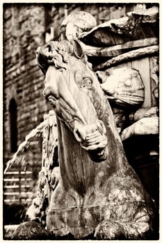 piazza signoria