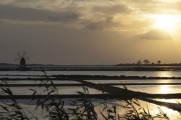 mar mediterraneo progetto formalux
