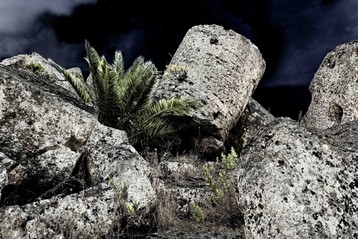 progetto spaziotempo 