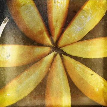 melon rays