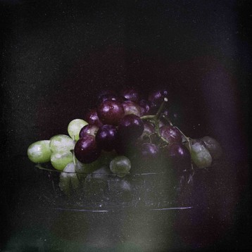 hill grapes