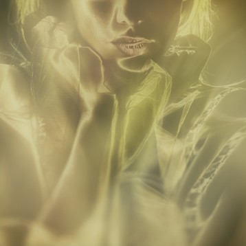 gea